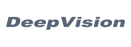 Deep Vision — ლოგო